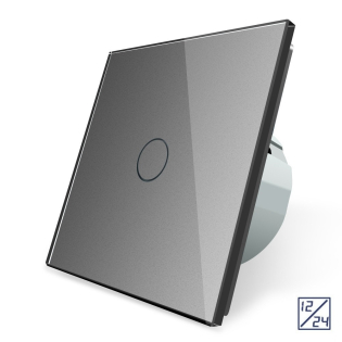 Сенсорный выключатель 1 сенсор 12/24В Livolo серый стекло (VL-C701C-15)