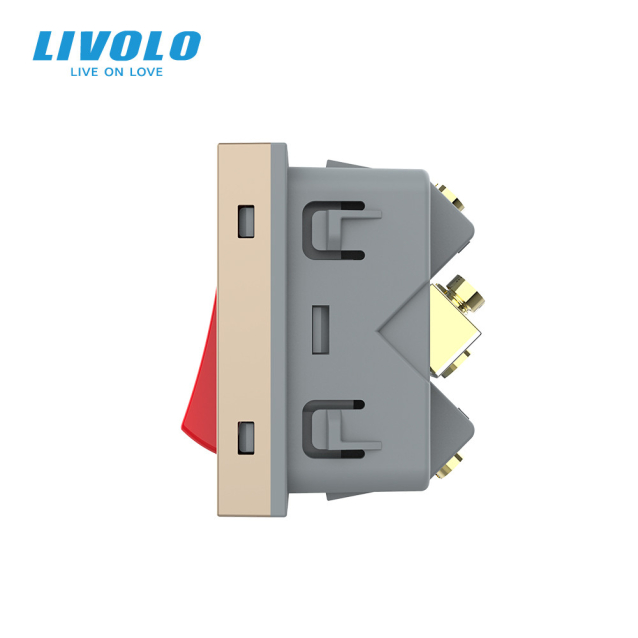 Механизм мастер выключатель 20 ампер Livolo золотой (VL-KMKV20A-2AP)
