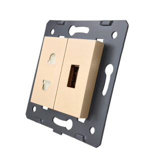 Механизм универсальная розетка и USB розетка Livolo золотой (C7-C1A1USB-13)