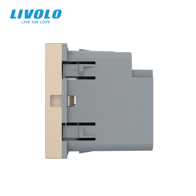 Механизм розетка USB-A и USB-C 36W Livolo золотой (VL-FCUA18W.UC18W-2AP)