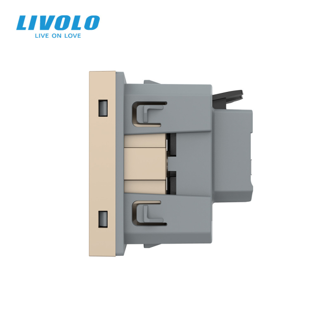 Механизм розетка с самозажимными клеммами с заземлением Livolo золотой (VL-FCTC16A-2APS01)