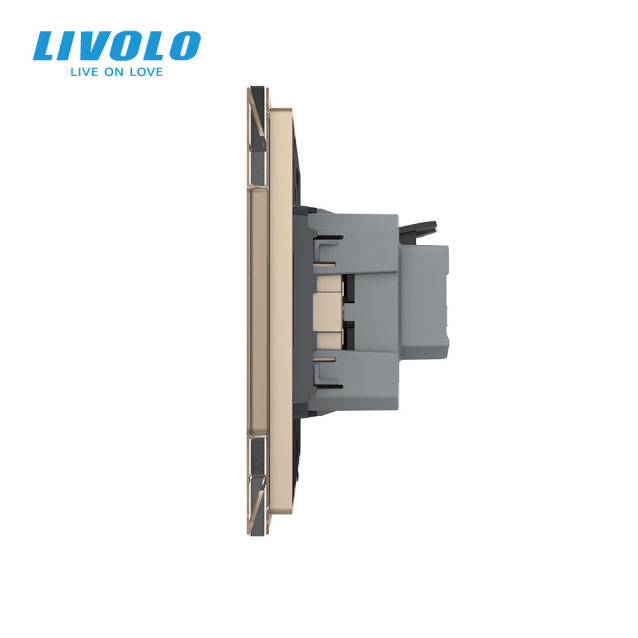 Розетка с самозажимными клеммами Livolo золотой стекло (VL-C7FCTC16A-2APS01)