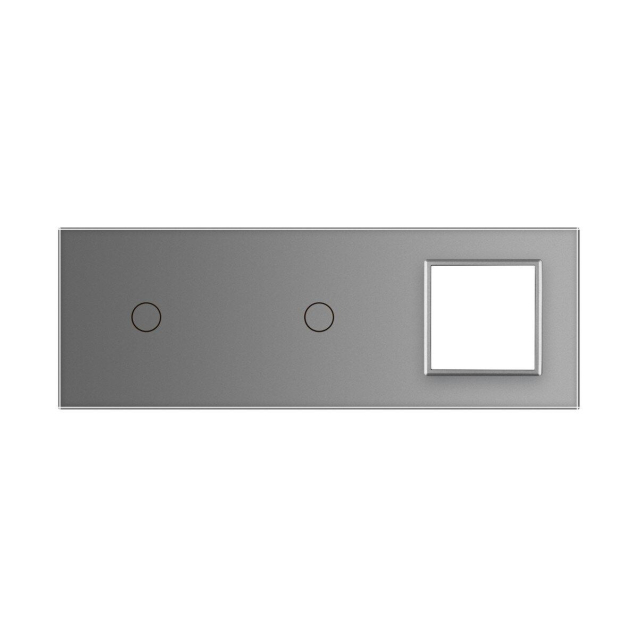 Сенсорная панель комбинированная для выключателя 2 сенсора 1 розетка (1-1-0) Livolo серый стекло