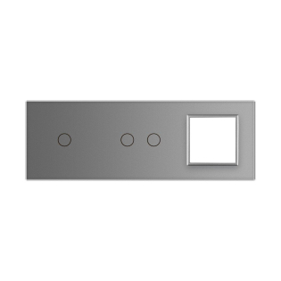 Сенсорная панель комбинированная для выключателя 3 сенсора 1 розетка (1-2-0) Livolo серый стекло