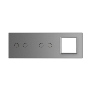 Сенсорная панель комбинированная для выключателя 4 сенсора 1 розетка (2-2-0) Livolo серый стекло