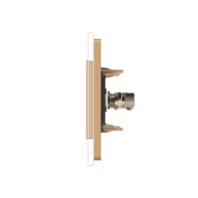 Розетка ТВ Livolo золото стекло (VL-C791V-13)