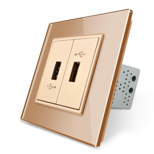 Розетка двойная USB с блоком питания Livolo золото стекло (VL-C792U-13)