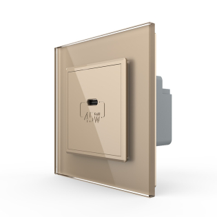 Розетка USB type C с блоком питания 45W Livolo золото (VL-C7-FCUC-2AP)