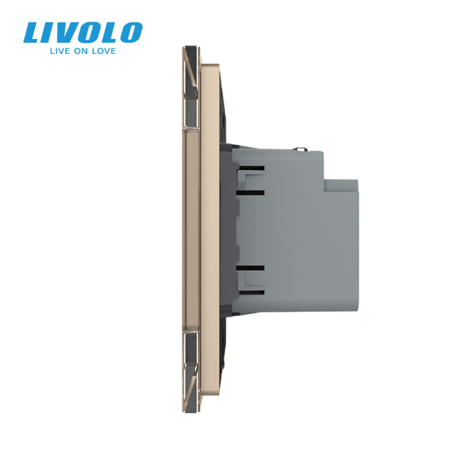 Розетка USB type C с блоком питания 45W Livolo золото (VL-C7-FCUC-2AP)