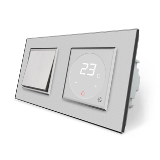 Одноклавишный выключатель Терморегулятор с выносным датчиком температуры для теплого пола Livolo серый