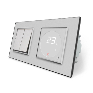 Двухклавишный выключатель Терморегулятор с выносным датчиком температуры для теплого пола Livolo серый