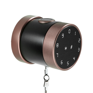 Умный замок Livolo (VL-SHL001-I)