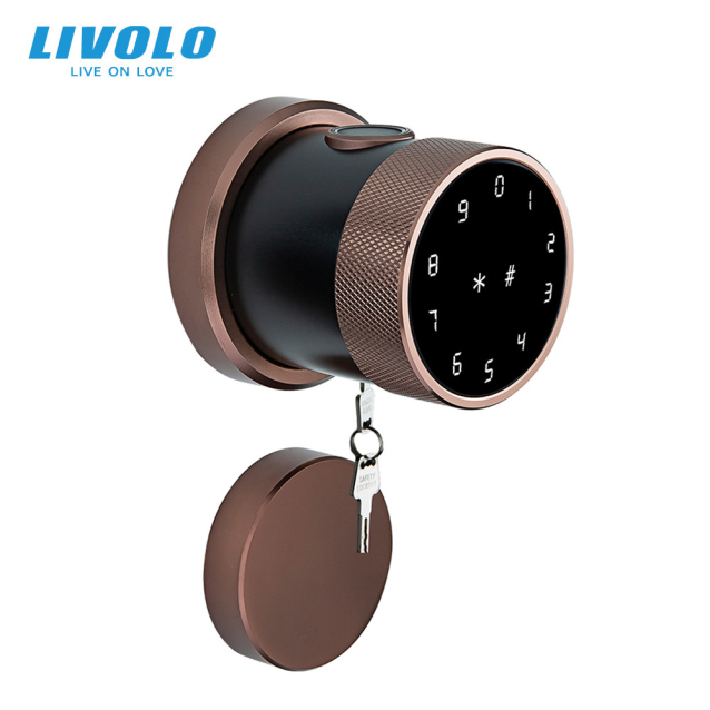 Умный замок Livolo (VL-SHL001-I)