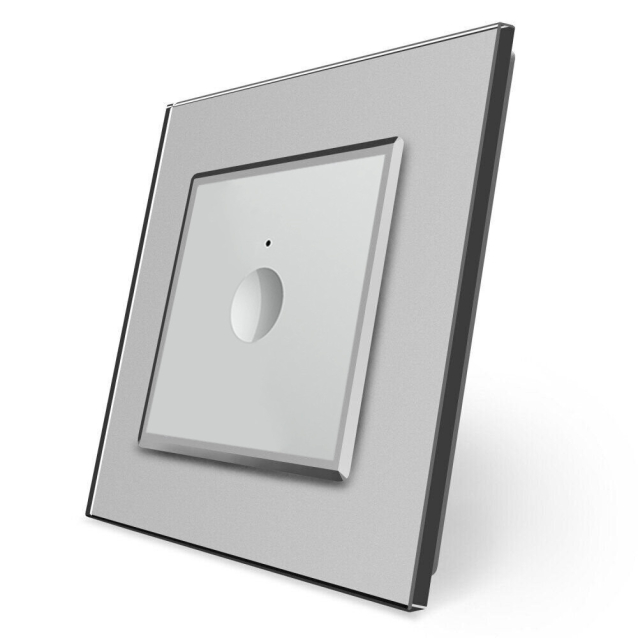 Сенсорный выключатель Sense 1 сенсор Livolo серый (722000115)