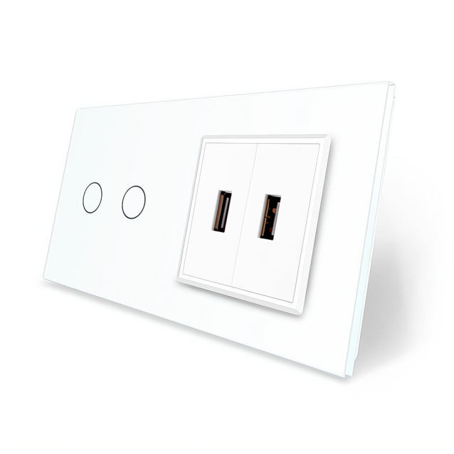 Сенсорный выключатель 2 сенсора 2 USB Livolo белый стекло (VL-C702/2USB-11)