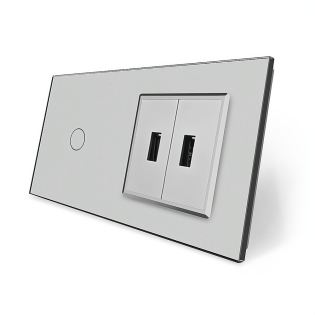 Сенсорный выключатель 1 сенсор 2 USB Livolo серый стекло (VL-C701/2USB-15)