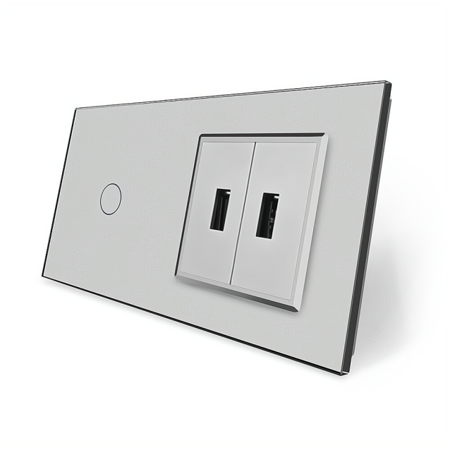 Сенсорный выключатель 1 сенсор 2 USB Livolo серый стекло (VL-C701/2USB-15)