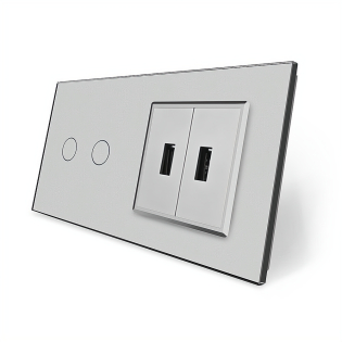 Сенсорный выключатель 2 сенсора 2 USB Livolo серый стекло (VL-C702/2USB-15)