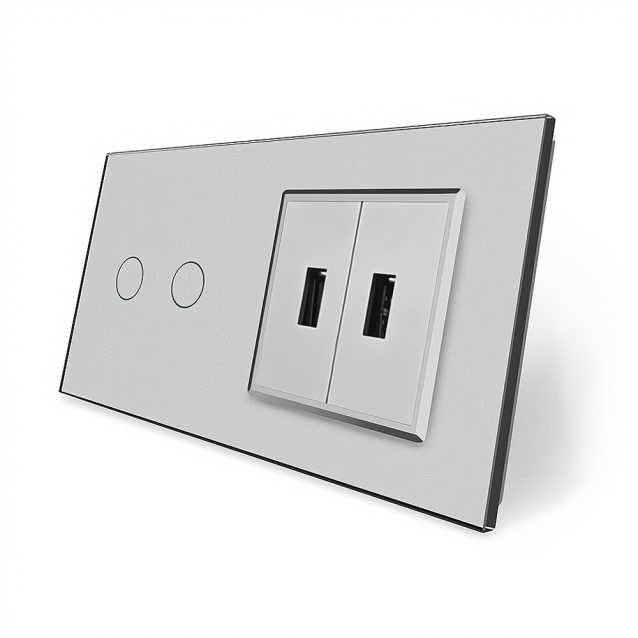 Сенсорный выключатель 2 сенсора 2 USB Livolo серый стекло (VL-C702/2USB-15)