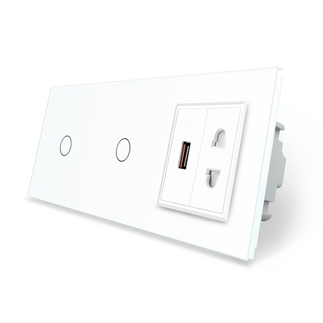 Сенсорный выключатель 2 сенсора (1-1) 1 USB 1 универсальная розетка Livolo белый стекло