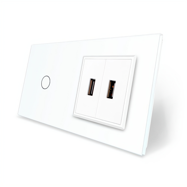Сенсорный выключатель 1 сенсор 2 USB Livolo белый стекло (VL-C701/2USB-11)