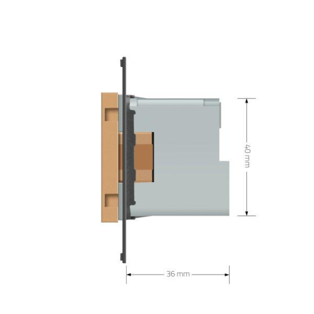 Умный механизм розетка ZigBee с заземлением Livolo золото (VL-FCTC16AZ-2AP)
