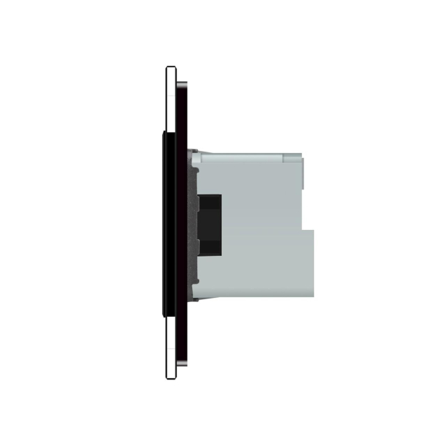 Умная розетка ZigBee с заземлением Livolo черный (704000812)