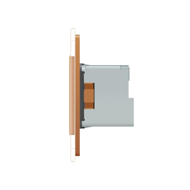 Умная розетка ZigBee с заземлением Livolo золото (704000813)