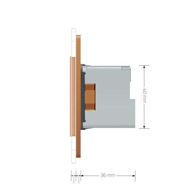 Умная розетка ZigBee с заземлением Livolo золото (704000813)