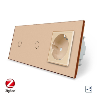 Умный сенсорный проходной выключатель 2 сенсора (1-1) 1 розетка Livolo золотой стекло